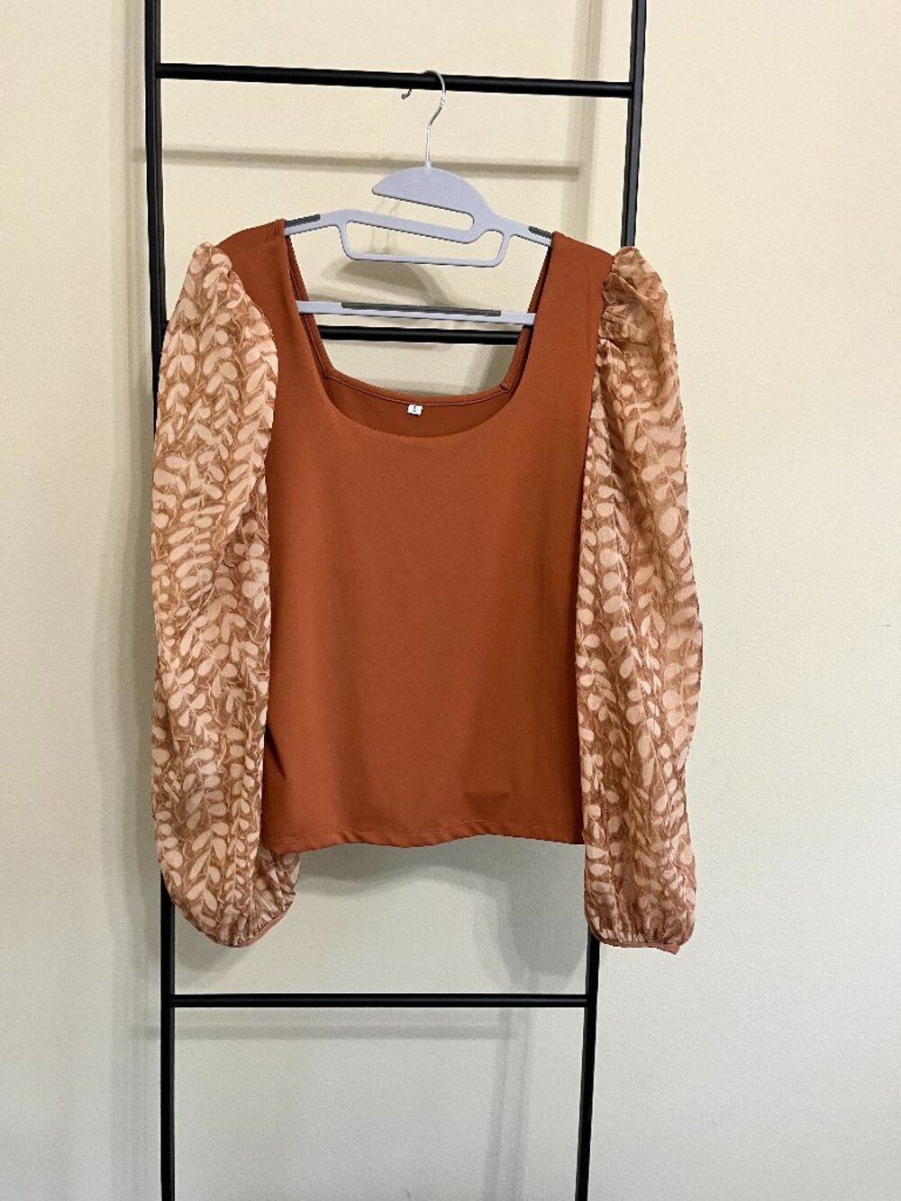 Sheer Long Puff Sleeve Stretch Top Earth Neutral Feminine Boho Coquette Large
